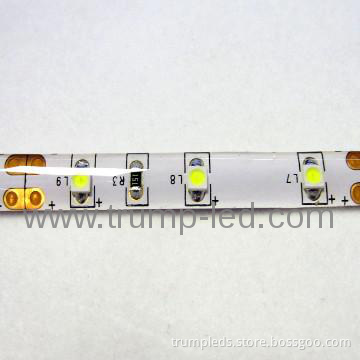 HOT product  waterproof 12v /24v  led flex rope light